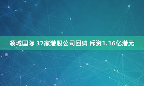领域国际 37家港股公司回购 斥资1.16亿港元